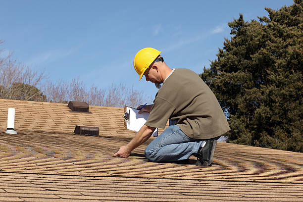 Best Skylight Installation and Repair  in Channahon, IL